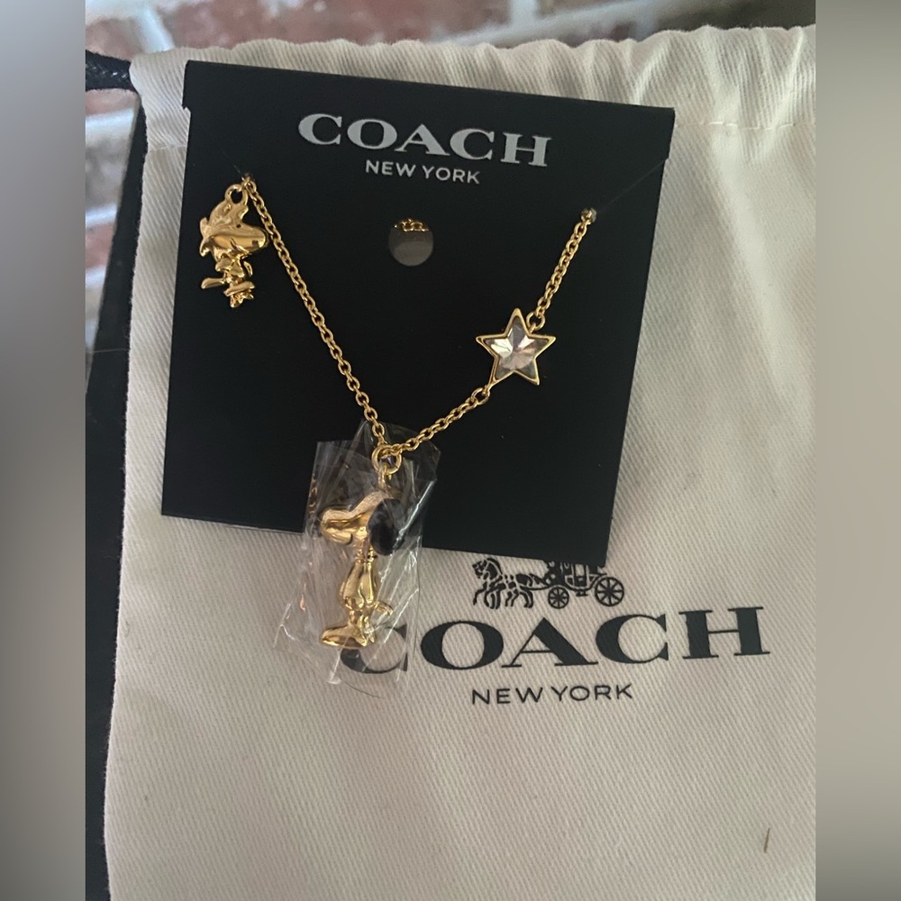 Coach X Peanuts Snoopy And Woodstock Long Necklace